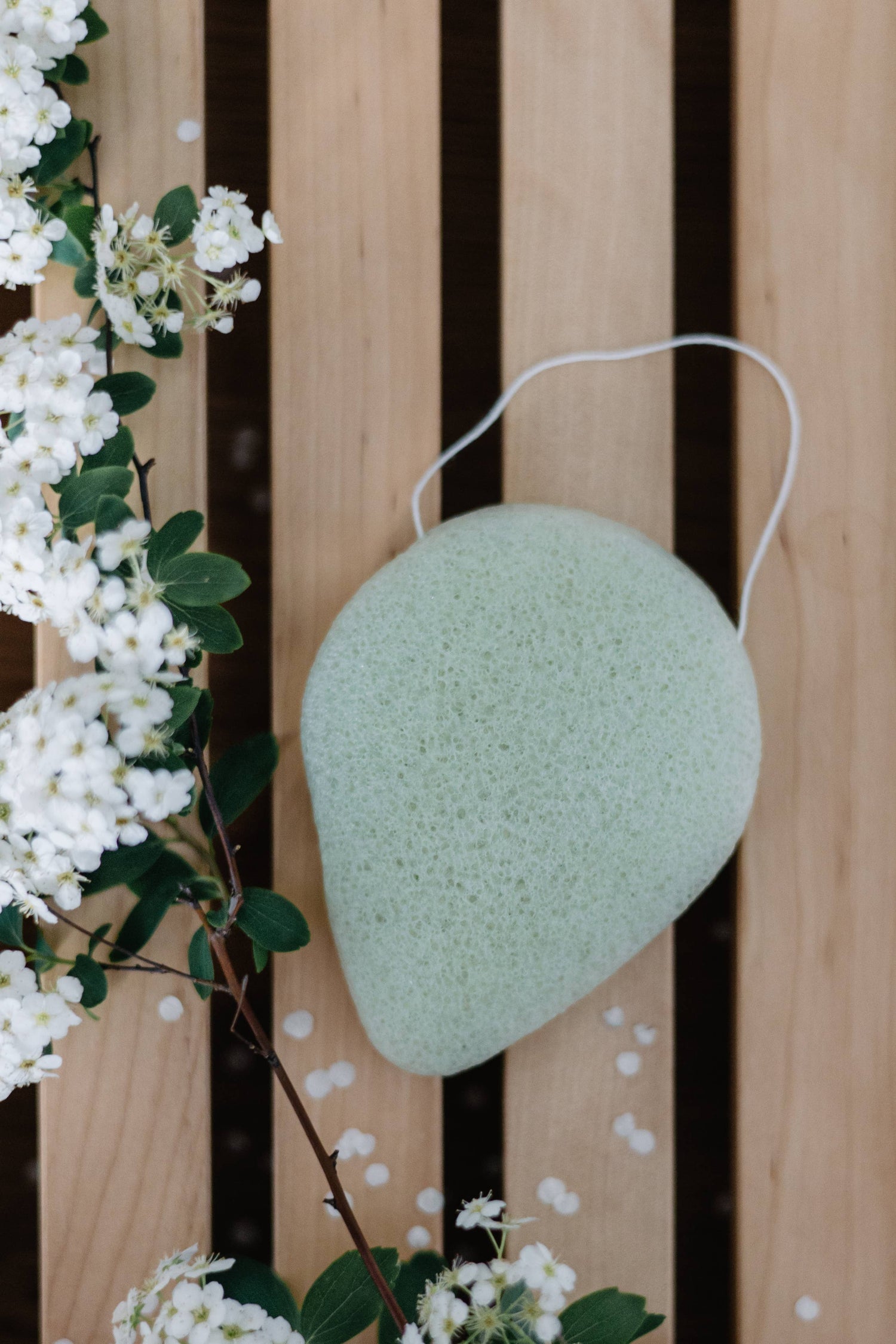Konjac Schwamm mit Aloe Vera | ELARIA Botanicals