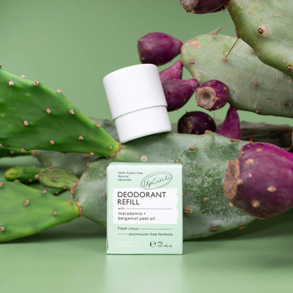 Deo-Nachfüllpackung mit Macadamia+Bergamotte (ohne Etui) | ELARIA Botanicals