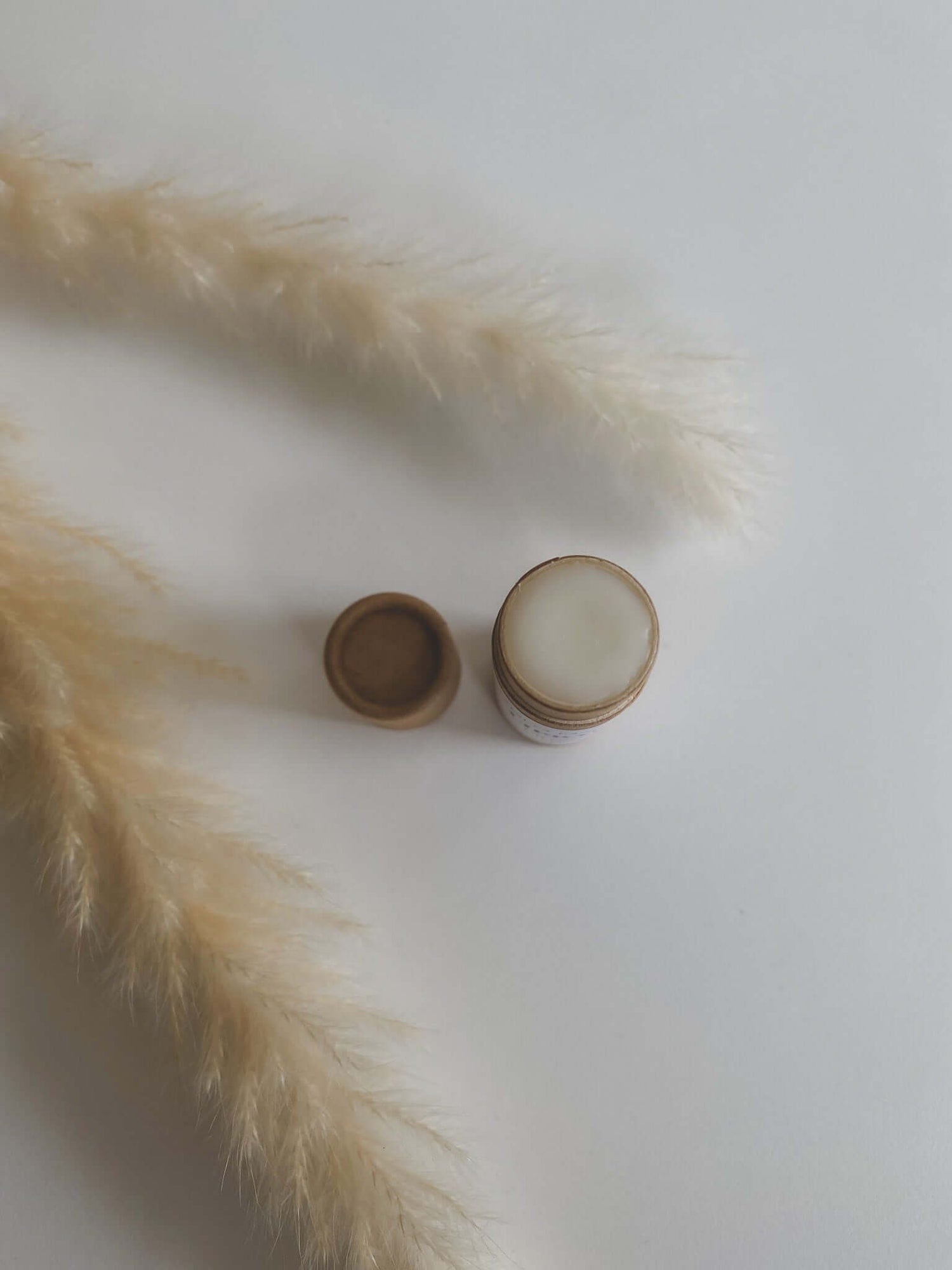 Lipbalm LIMONE | MYDLO.DE