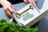 Gua Sha Box (Jade) | ELARIA Botanicals